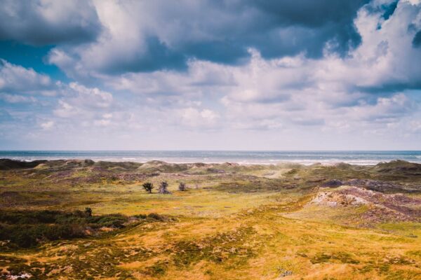 Henne Strand : Vacances agréables à la plage sur la côte ouest du Danemark
