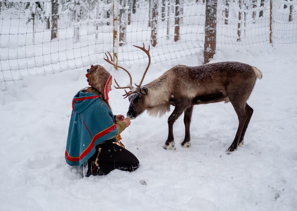 Laponie suédoise Culture Sami rennes