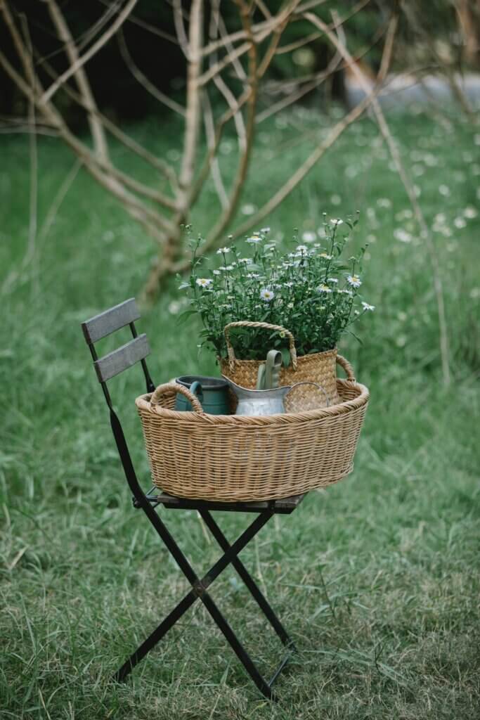 Jardin scandinave : pots de plantes et de fleurs sur une chaise