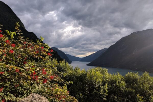 Sognefjord : Le plus long fjord de Norvège
