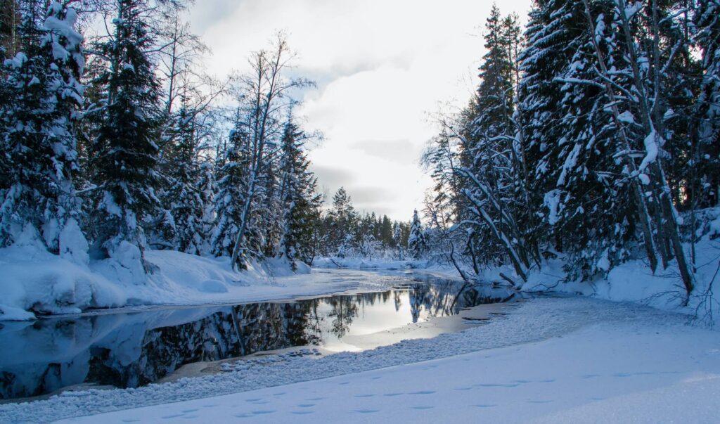 Umeå : Météo en hiver